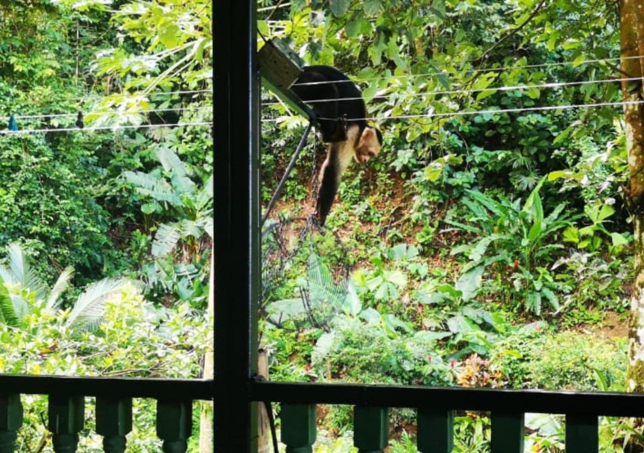 Golfito Maison D'Hotes エクステリア 写真